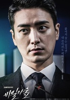 秘密森林(2017年曹承佑、裴斗娜主演韓劇)