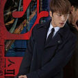 spy(韓國2015年金在中主演電視劇) spy(韓國2015年金在中主演電視劇)