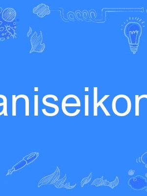 aniseikonic aniseikonic