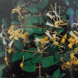 土銀花(土銀花葉) 土銀花(土銀花葉)