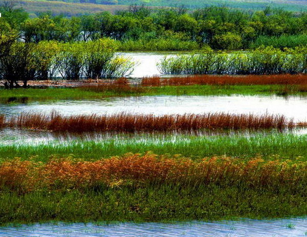 黑龍江東方紅濕地國家級自然保護區(東方紅濕地國家級自然保護區)