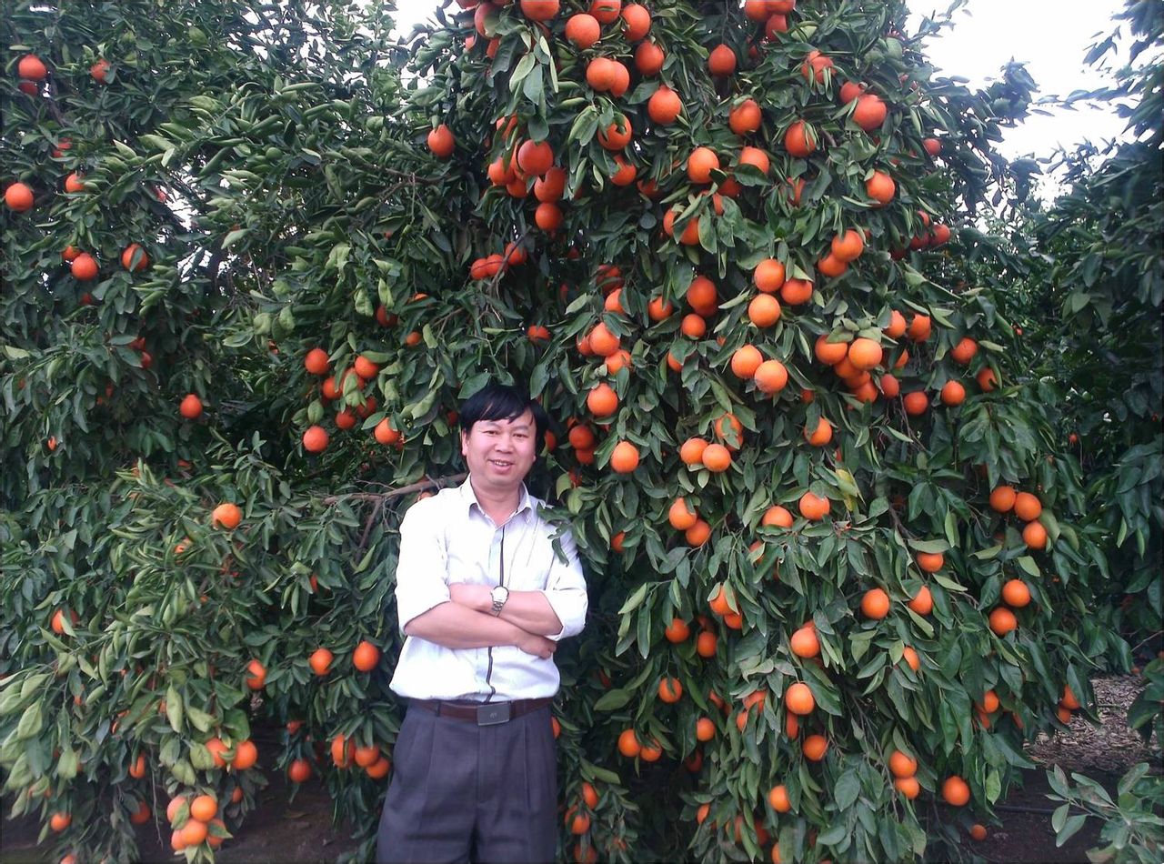 張承林(華南農業大學水溶性肥料研究室主任)