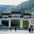大伊山風景區 大伊山風景區