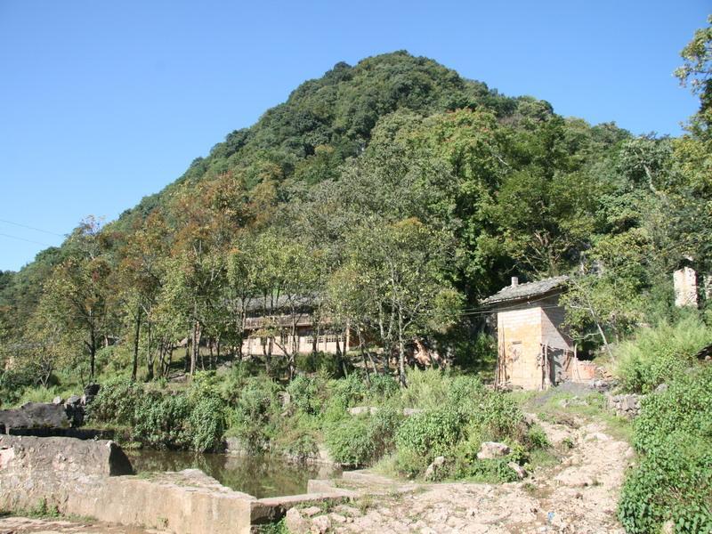 溫飽村 溫飽村