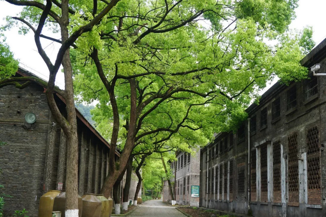 天吉巷 天吉巷