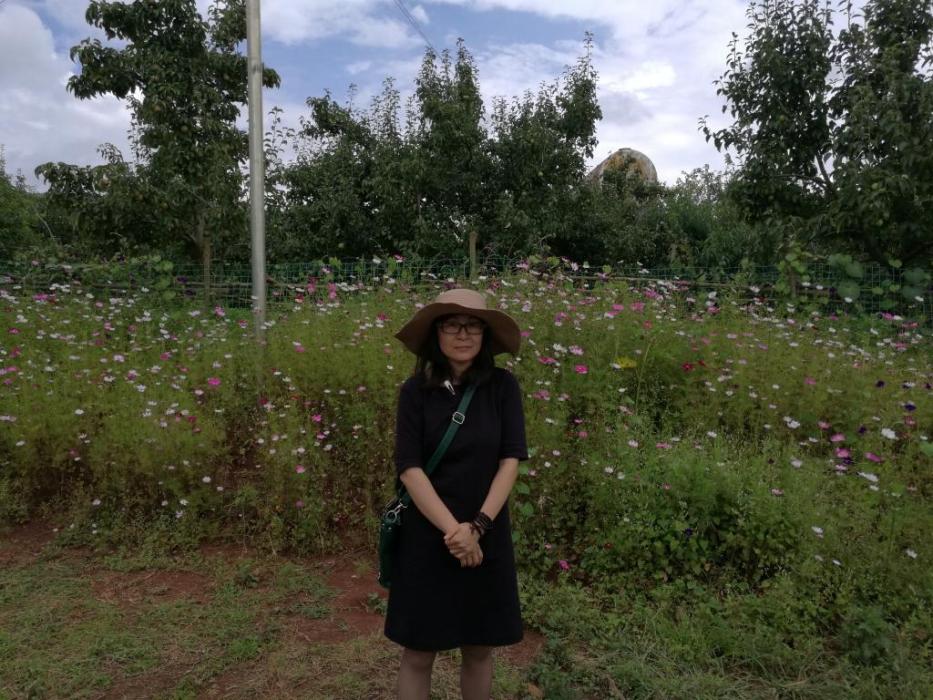 於蘭(雲南大學藝術與設計學院教授) 於蘭(雲南大學藝術與設計學院教授)