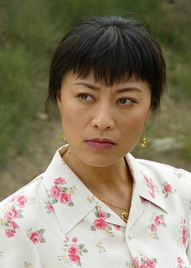 滿天星(2004年高一功執導電視劇)