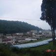 大麥坡村 大麥坡村