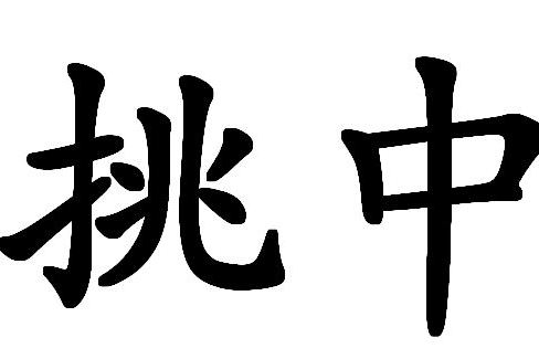 挑中 挑中