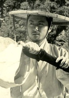 俠女(1971年胡金銓執導電影)