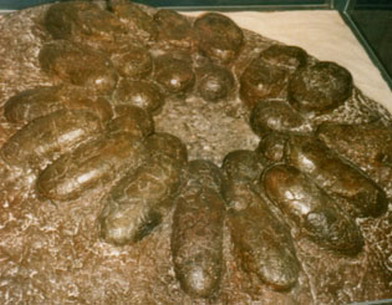 西峽恐龍蛋化石遺蹟