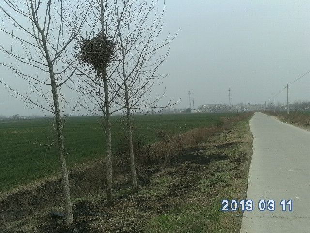 易崗村 易崗村