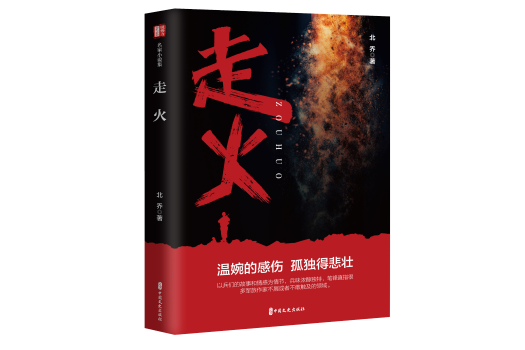 走火(中國文史出版社於2023年出版的小說) 走火(中國文史出版社於2023年出版的小說)