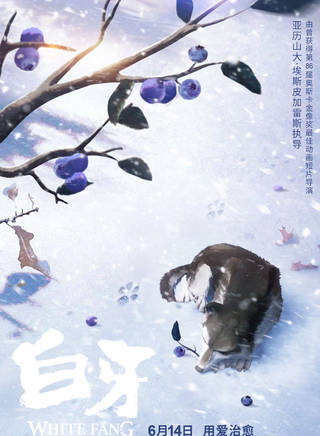 拉什達·瓊斯 拉什達·瓊斯