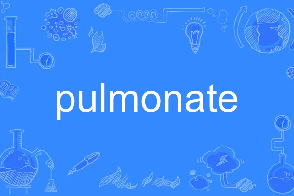pulmonate pulmonate