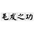 毛髮之功 毛髮之功