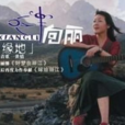 美麗的龍 美麗的龍