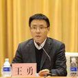 王勇(重慶市渝中區委常委,區政法委書記) 王勇(重慶市渝中區委常委,區政法委書記)