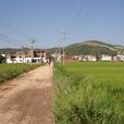 秧田灣村(雲南宣威市西寧街道下轄村) 秧田灣村(雲南宣威市西寧街道下轄村)