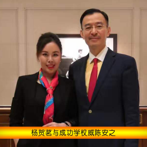 楊賀茗