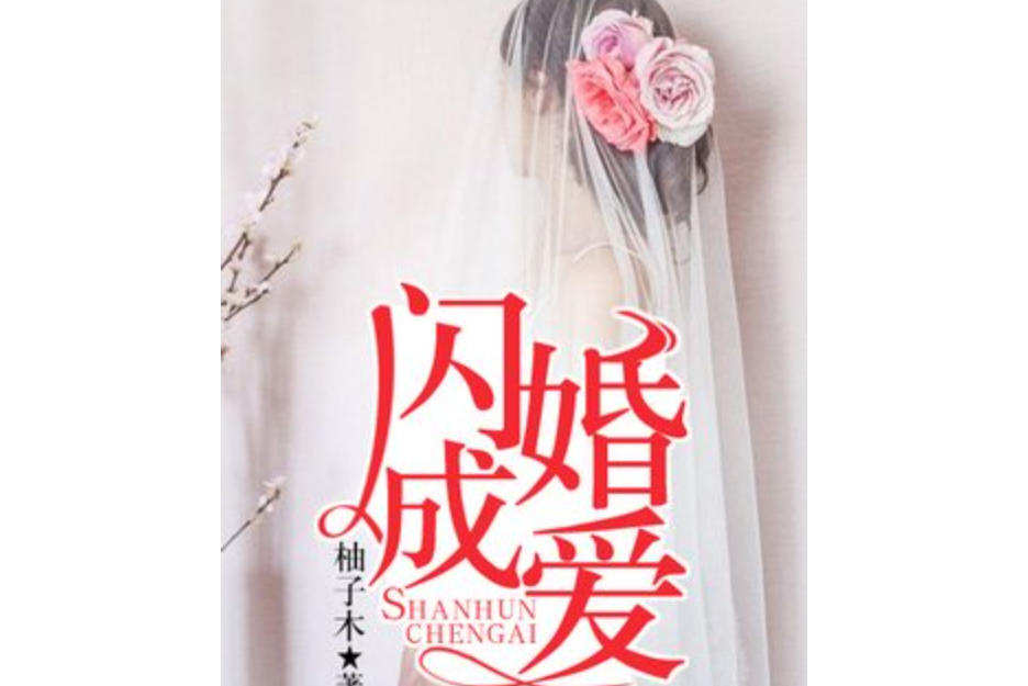閃婚成愛(柚子木所著小說) 閃婚成愛(柚子木所著小說)