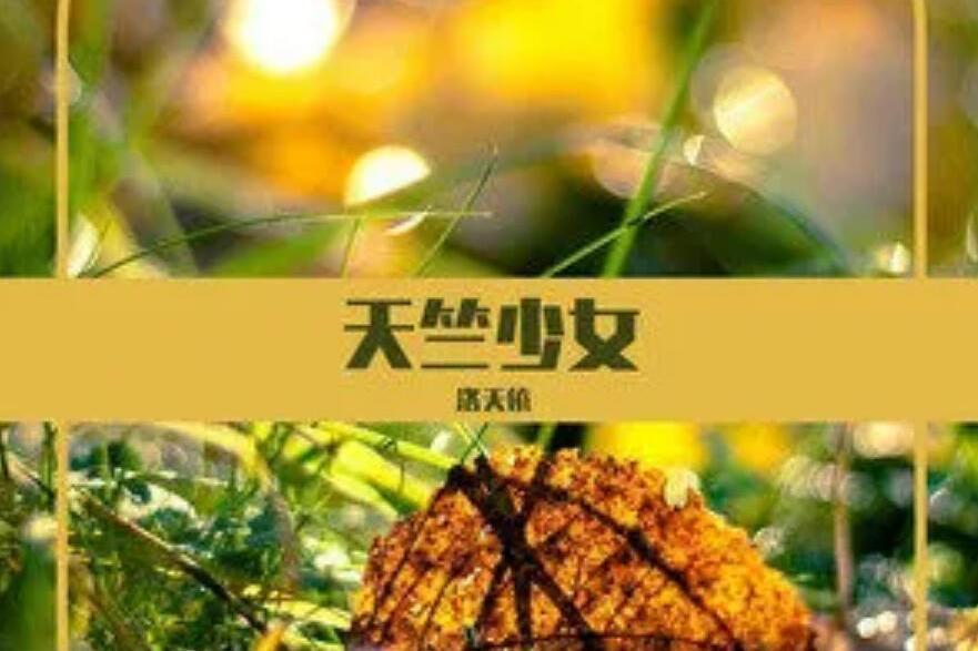 天竺少女(洛天依演唱的歌曲) 天竺少女(洛天依演唱的歌曲)