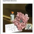 Computational and Structural Approaches to Drug Discovery Computational and Structural Approaches to Drug Discovery