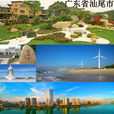汕尾(汕尾市)