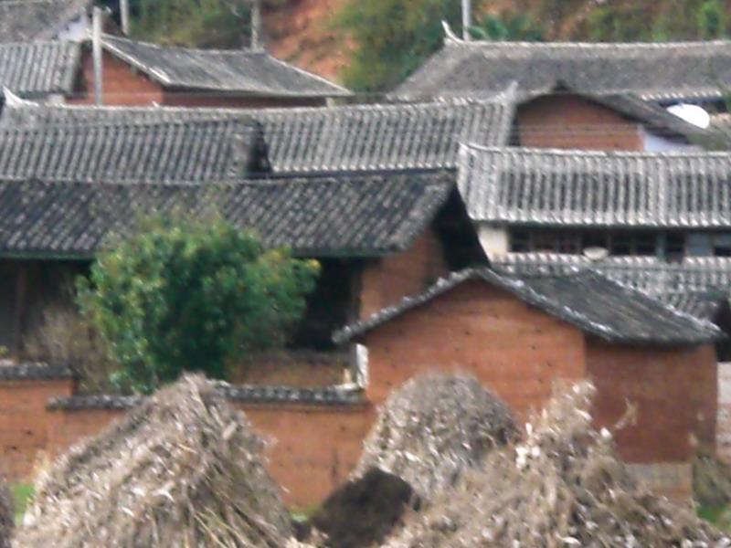 中迪里村 中迪里村