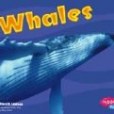 Whales(2004年Capstone Pr Inc出版的圖書) Whales(2004年Capstone Pr Inc出版的圖書)
