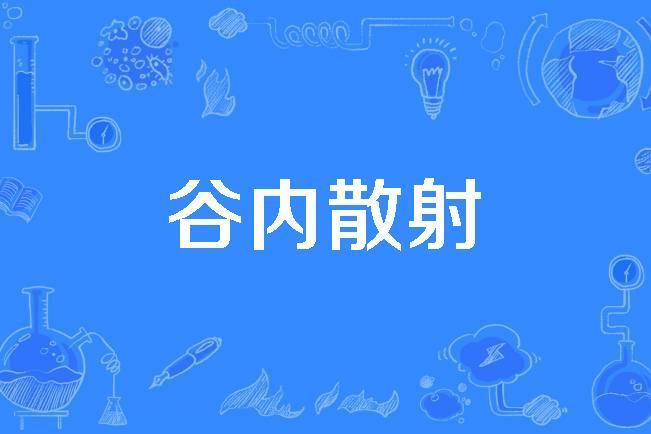 谷內散射