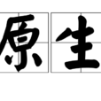 原生 原生