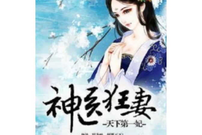 天下第一傲妃 天下第一傲妃