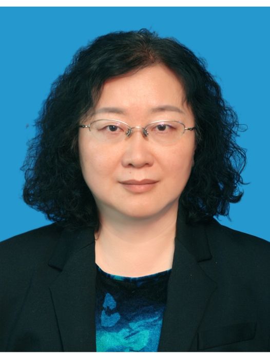盧彥(中國地質科學院地球物理地球化學勘查研究所副所長、黨委委員) 盧彥(中國地質科學院地球物理地球化學勘查研究所副所長、黨委委員)