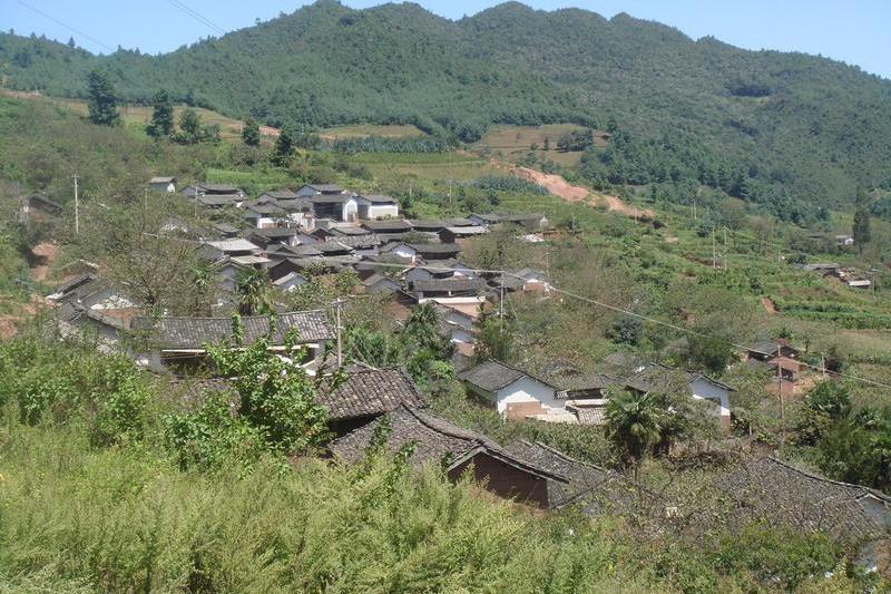 發達河村 發達河村
