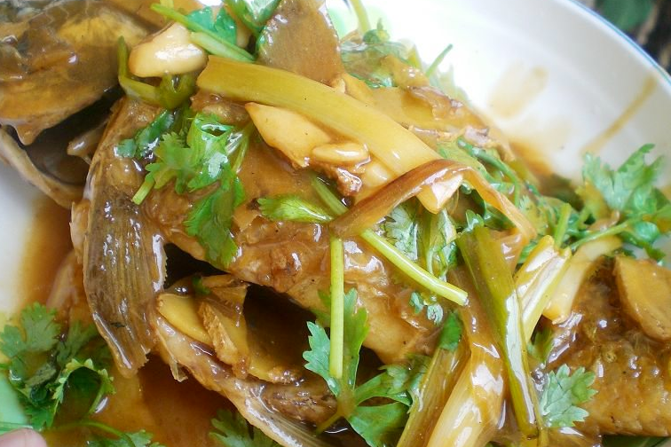 姜蔥焗鯉魚 姜蔥焗鯉魚