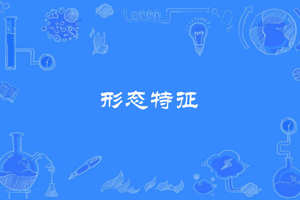 形態特徵 形態特徵