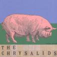 The Chrysalids(Wyndham, John著圖書) The Chrysalids(Wyndham, John著圖書)
