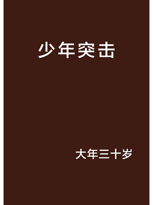 少年突擊
