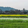 橫嶺村(江西省贛州市會昌縣站塘鄉橫嶺村) 橫嶺村(江西省贛州市會昌縣站塘鄉橫嶺村)