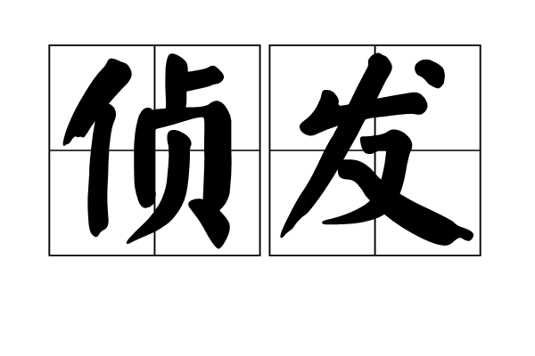 偵發 偵發