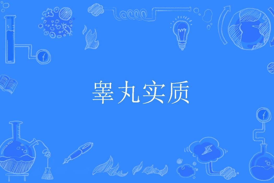 睪丸實質 睪丸實質