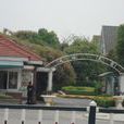 天倫花園 天倫花園