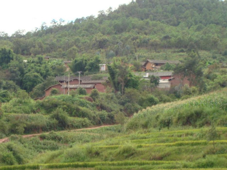 冷水河村 冷水河村