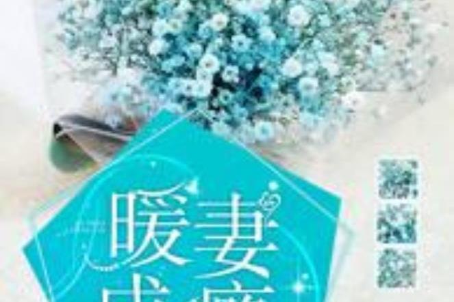 暖妻成癮(程子莫所著小說) 暖妻成癮(程子莫所著小說)