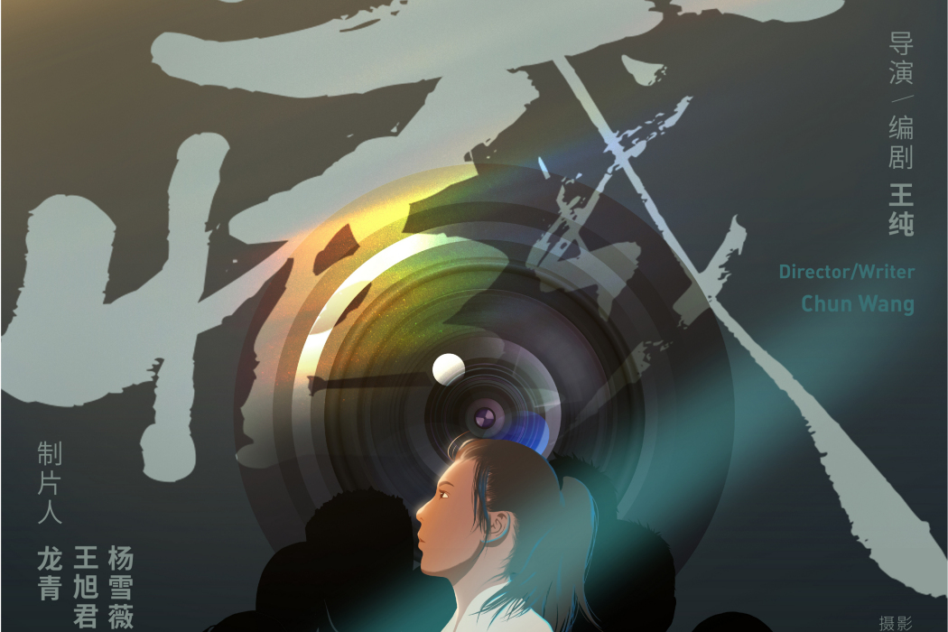 藏(懸疑電影) 藏(懸疑電影)