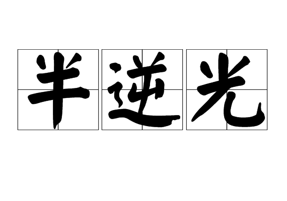 半逆光 半逆光