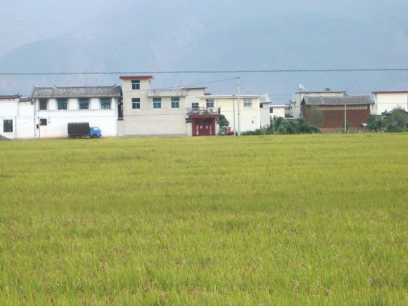 羊毛村