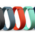 Fitbit Flex Fitbit Flex