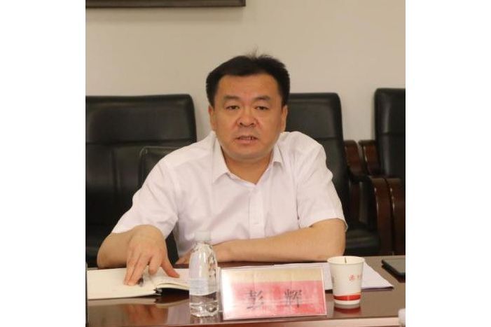 彭輝(陝西省農村信用社聯合社黨委委員、副主任) 彭輝(陝西省農村信用社聯合社黨委委員、副主任)